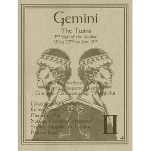 Wholesale Gemini Zodiac Poster